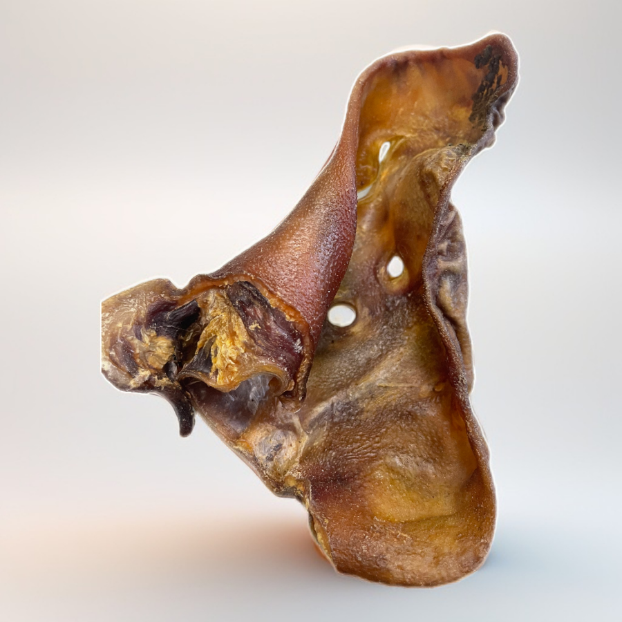Schweineohr
